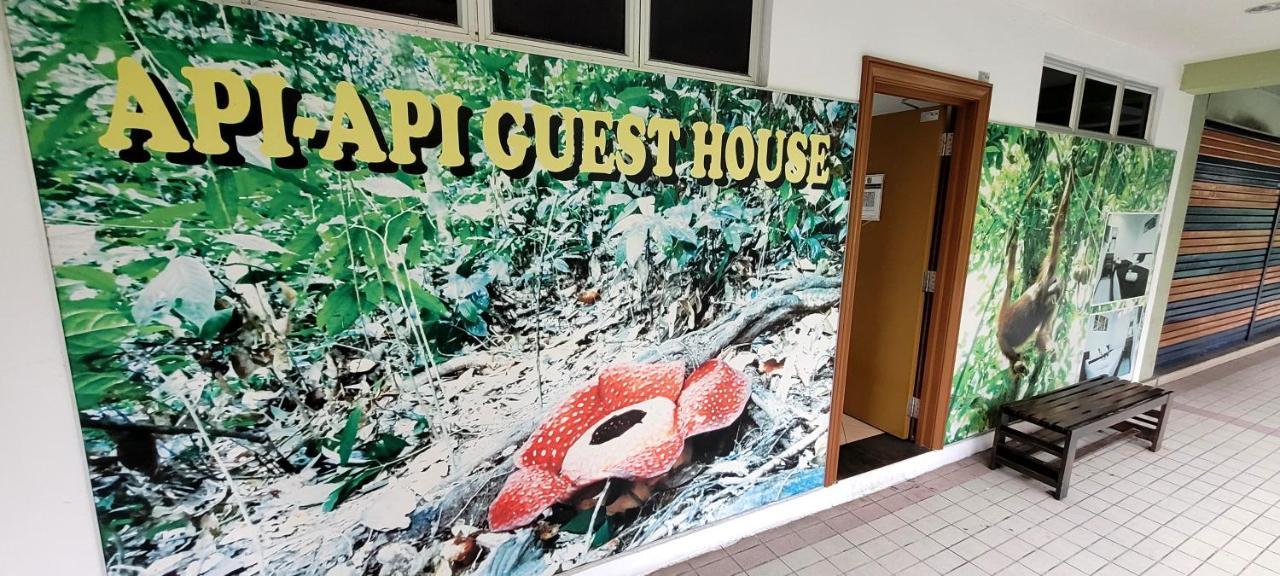 Api-Api Guesthouse Κότα Κιναμπαλού Εξωτερικό φωτογραφία