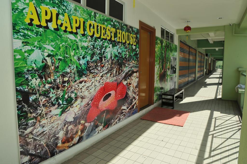 Api-Api Guesthouse Κότα Κιναμπαλού Εξωτερικό φωτογραφία
